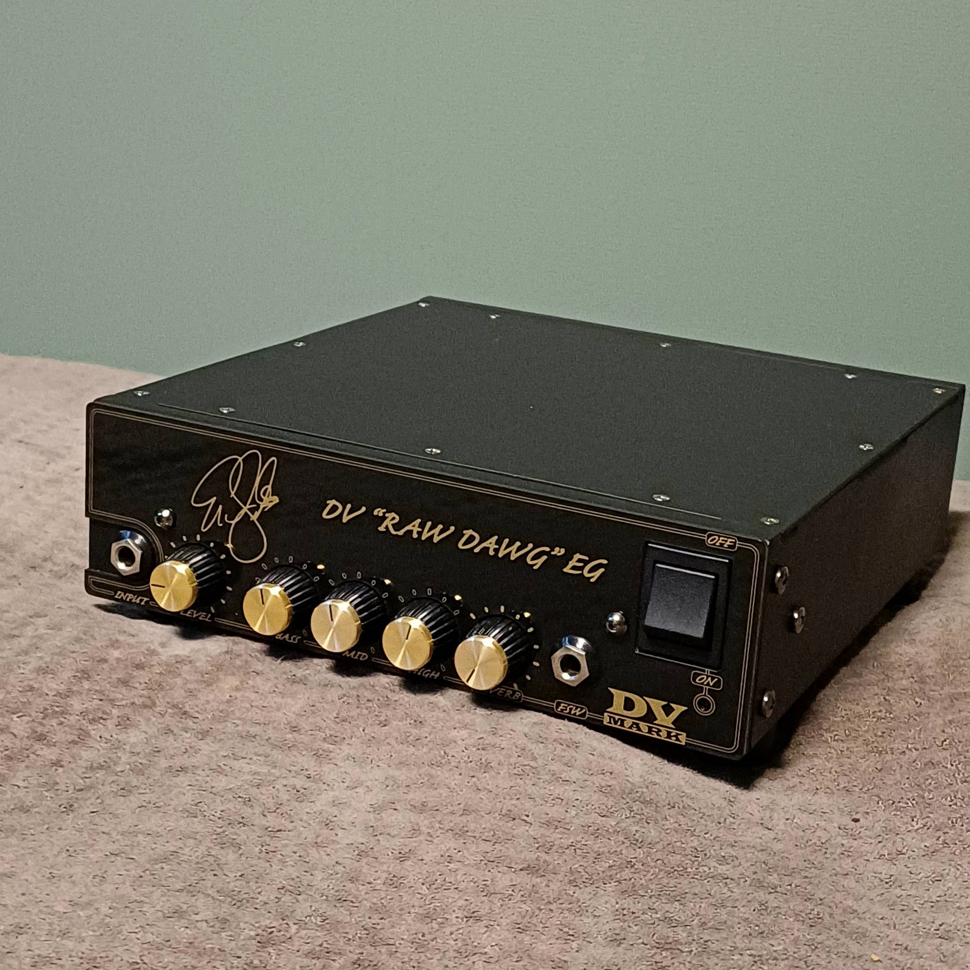 -DV Mark Raw Dawg 250w 에릭게일스 시그니처 앰프-2
